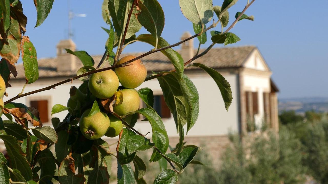 Residence Colle Veroni Mosciano SantʼAngelo Zewnętrze zdjęcie